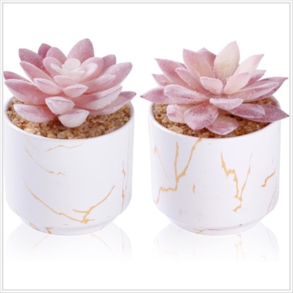 Artificial Plants and Succulents in 2 set White Ceramic Pots